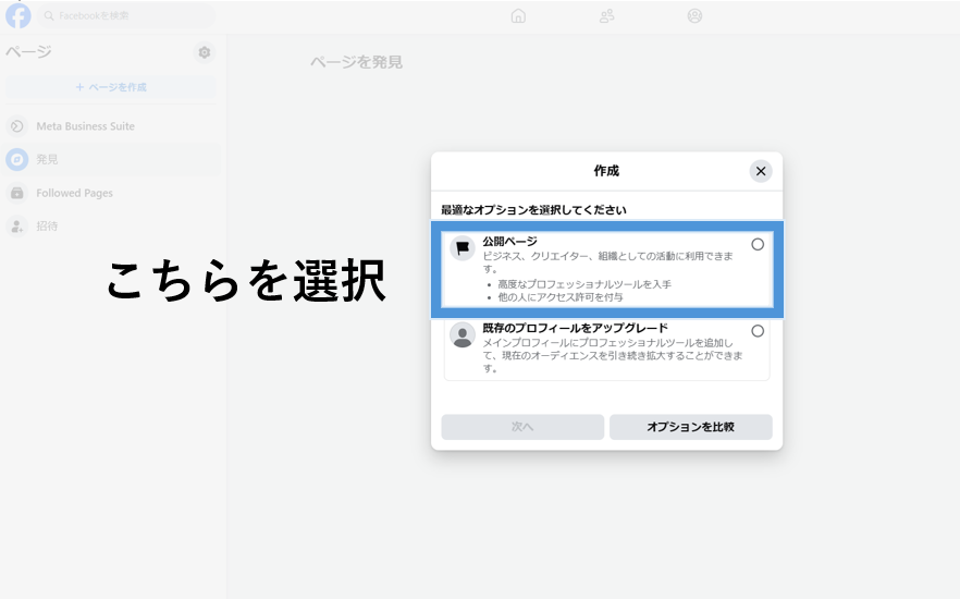 「公開ページ」を選択